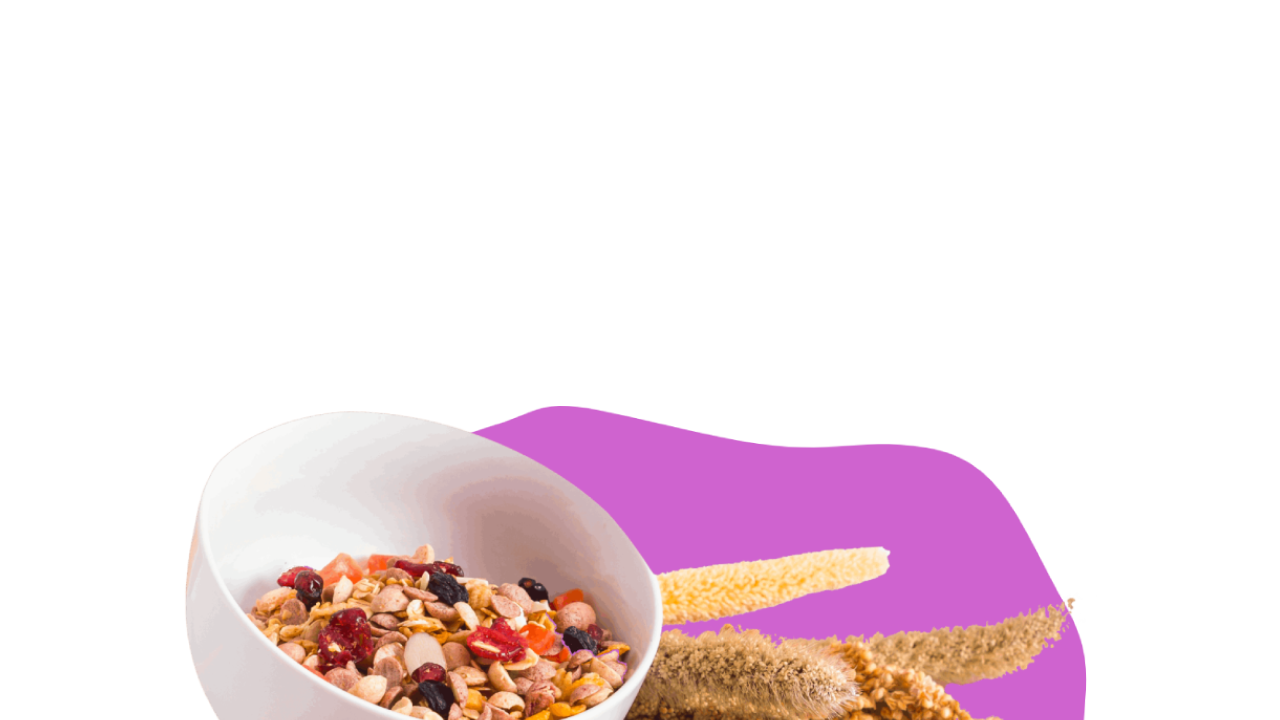 A picture of a white bowl with Joyfull Millets Fruit and Nut Muesli. The bowl is tilted to the right. Around it there are millet seeds, flakes, fruit, nuts and healthy muesli scattered. Behind the bowl, there are dried millet plants peaking from the side. The background is purple