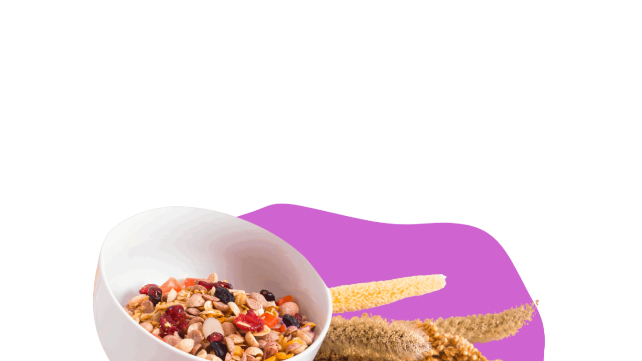 A picture of a white bowl with Joyfull Millets Fruit and Nut Muesli. The bowl is tilted to the right. Around it there are millet seeds, flakes, fruit, nuts and healthy muesli scattered. Behind the bowl, there are dried millet plants peaking from the side. The background is purple 